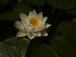PICT2547.JPG