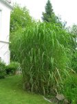 DSCN0561.JPG