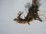 DSCN0563.JPG