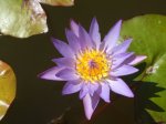 DSCF0280.JPG
