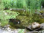 Teich 012 (WinCE).jpg