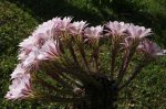 IMG_2610.jpg