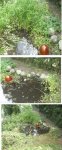 Teich4.jpg