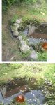 Teich 03.jpg