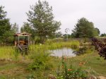 05.JPG