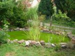 Teich ganz.jpg Teich ganz.jpg