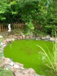 Teich 1.jpg Teich 1.jpg