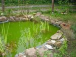 Teich2.jpg Teich2.jpg