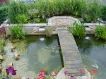 DSC08768.JPG