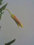 113-1393_IMG.jpg