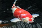 IMG_3075.jpg