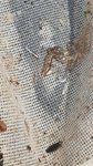 20210713_170541.jpg 20210713_170541.jpg