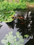 IMG_20210716_192532.jpg
