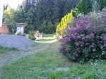 DSC00299A.jpg