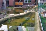 Frühjahr 2006 vom Filterteich aus gesehen.jpg