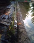 IMAGE_00878.jpg