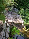 DSCN3027 (Medium).JPG