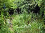 Sommer 08 013-1.jpg