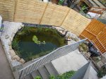 DSC00686.JPG