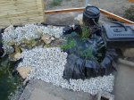 DSC00351.JPG