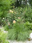 garten 012.jpg
