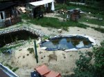 PICT0004 (Small).JPG