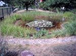 Teich 4.JPG Teich 4.JPG