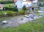 DSC00355A.jpg