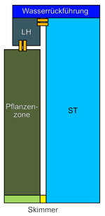 Schwimmteich-Skizze.jpg