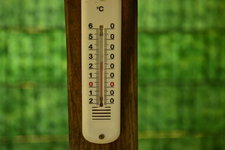 _AAA8000[1].JPG