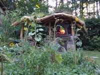 IMG_20210904_180752.jpg