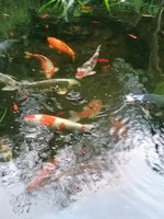 IMG_20210917_184832.jpg