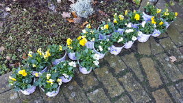 20211109_123811.jpg 20211109_123811.jpg