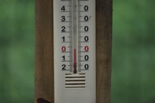 _DSC2113[1].JPG