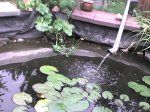 DSC00012.JPG DSC00012.JPG
