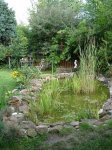 DSC00462.JPG