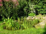 0815-Alleswaechst.jpg