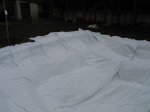 IMG_0021.JPG