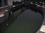 teich31.jpg