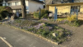 16612E46-C3C3-4931-90F3-9351042B3048.jpeg