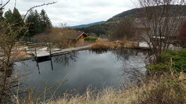 M5010751_Teich gegen Süden.JPG