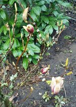 20220407_140304.jpg 20220407_140304.jpg