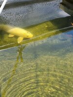 20220426_130054.jpg