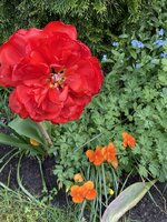 IMG_5185.JPG