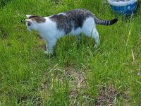 20220522_153644.jpg