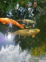 IMG_20220522_150552.jpg