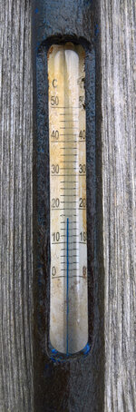 WP_20220529_11_08_59_Teichtemp_oben.jpg