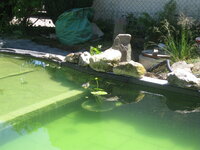 IMG_6475a.jpg