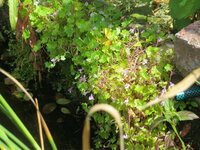 IMG_2577.JPG
