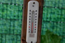 DSC_0644[1].JPG